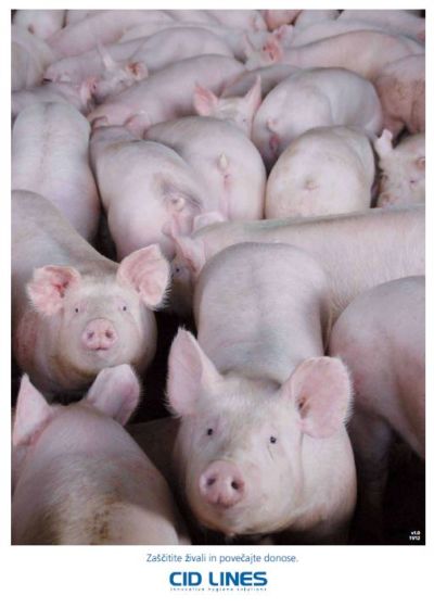 KATALOG IZDELKOV ZA BIOLOŠKO VARNOST V PRAŠIČEREJI 