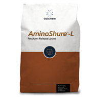 AminoShure L, 20kg