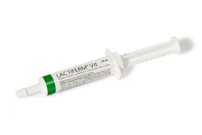 Lactiferm VIT, probiotična pasta, 6 tub po 32 ml, probiotik