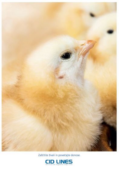 KATALOG IZDELKOV ZA HIGIENO PERUTNINARSKE FARME, VALILNIC IN KLAVNIC 