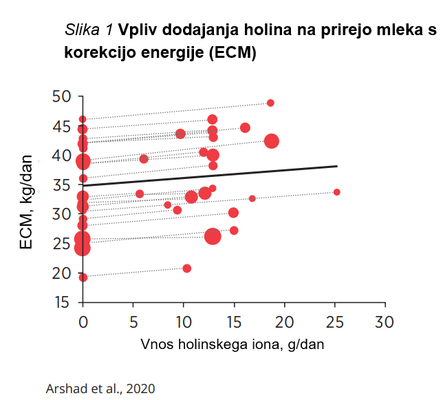 VPLIV HOLINA NA PRIREJO MLEKA