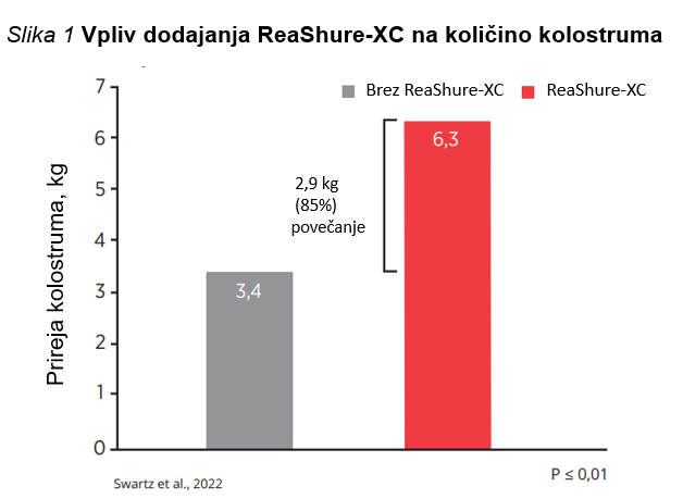 VPLIV HOLINA NA KOLIČINO KOLOSTRUMA