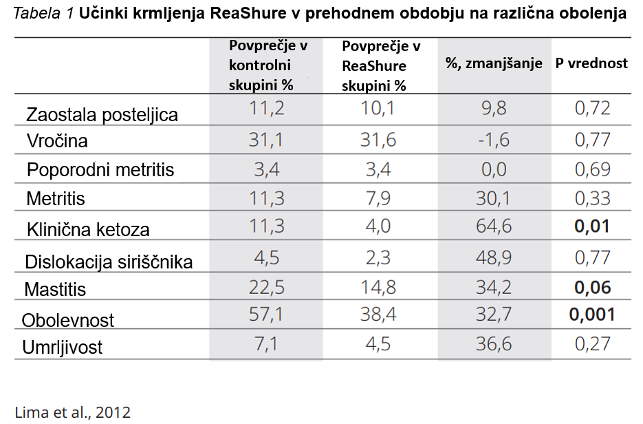 VPLIV HOLINA NA ZDRAVJE KRAV V PREHODNEM OBDOBJU