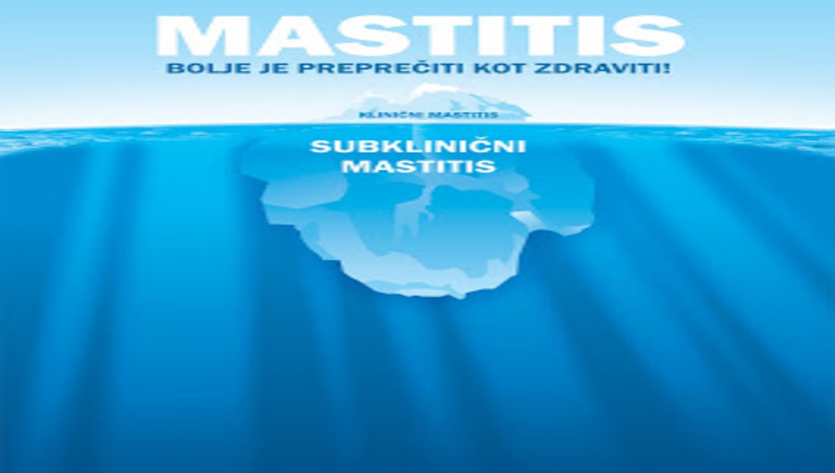 MASTITIS NAM POVZROČA OGROMNE ŠKODE