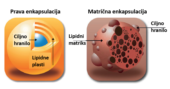 NISO VSI ENKAPSULIRANI IZDELKI USTVARJENI ENAKO