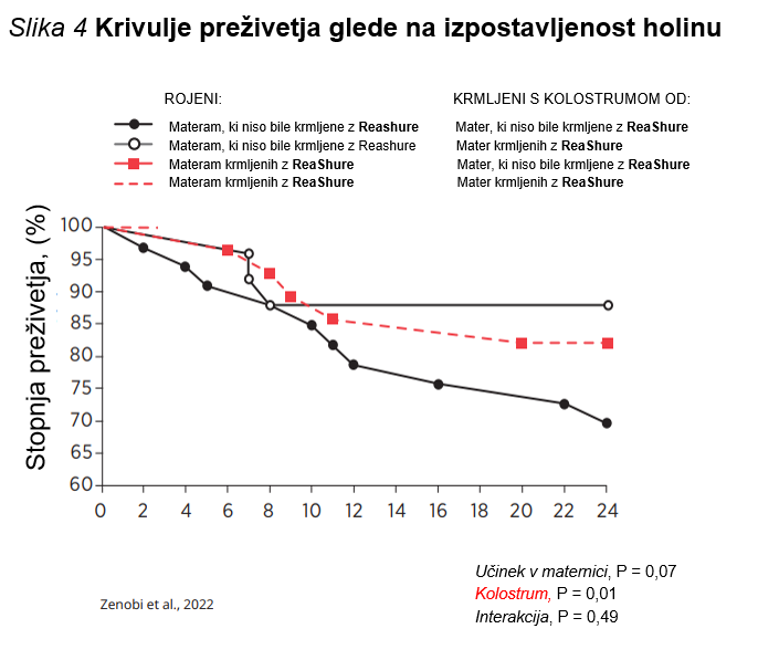 VPLIV HOLINA NA ZDRAVJE IN RAST TELET