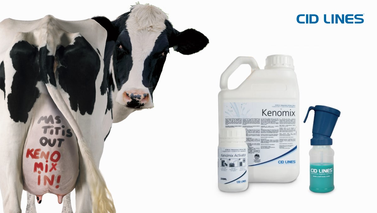Keno®mix Pro 5l, 20l