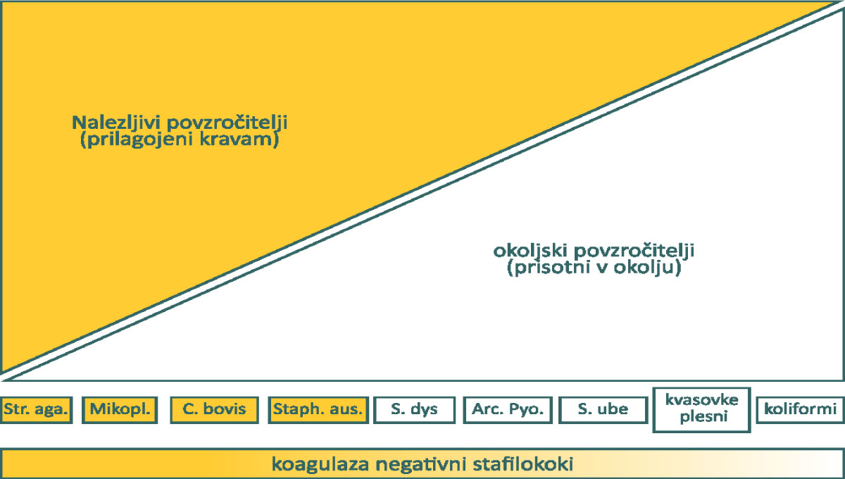 NALEZLJIVI IN OKOLJSKI POVZROČITELJI- malo natančneje