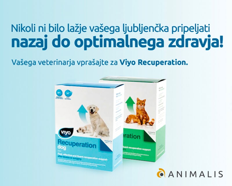 Viyo Recuperation