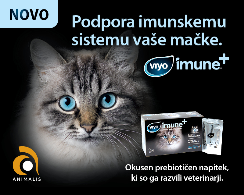 Viyo Reinforces za mačke