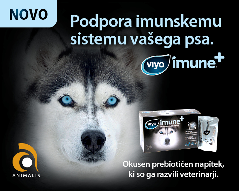 Viyo Reinforces za pse