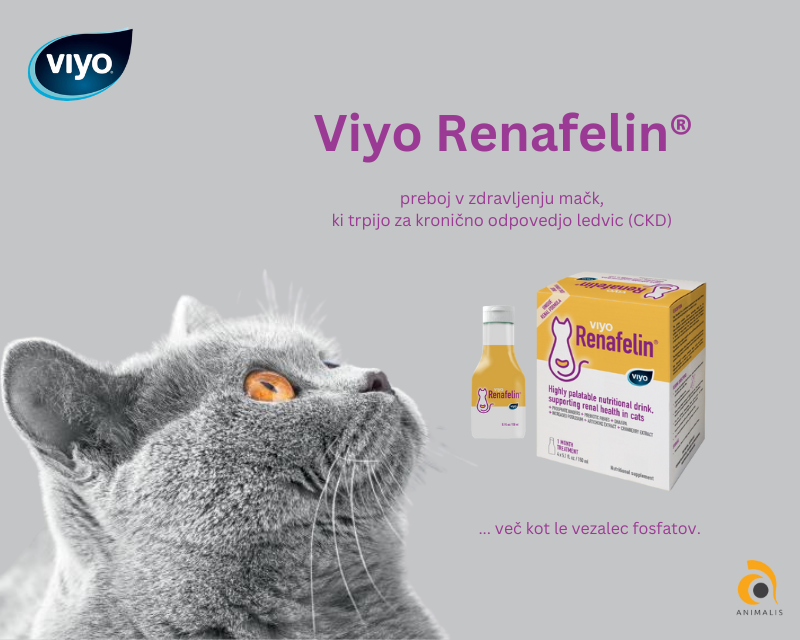VIYO RENAFELIN, za mačke, 4 x 150 ml