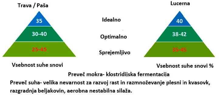 Suha snov ob siliranju je pokazatelj potencialnih težav med fermentacijo in pri krmljenju.