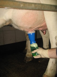 Uporaba pene Kenopure